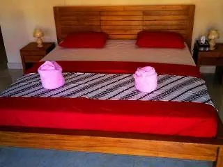 Backpacker Hotel Tulamben